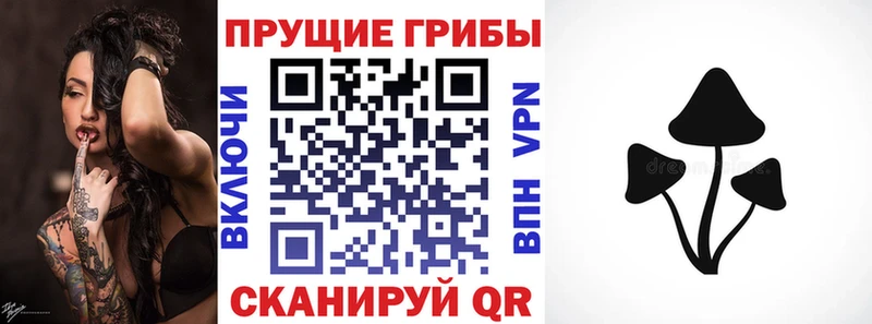 ОМГ ОМГ tor  Чадан  Галлюциногенные грибы мицелий 